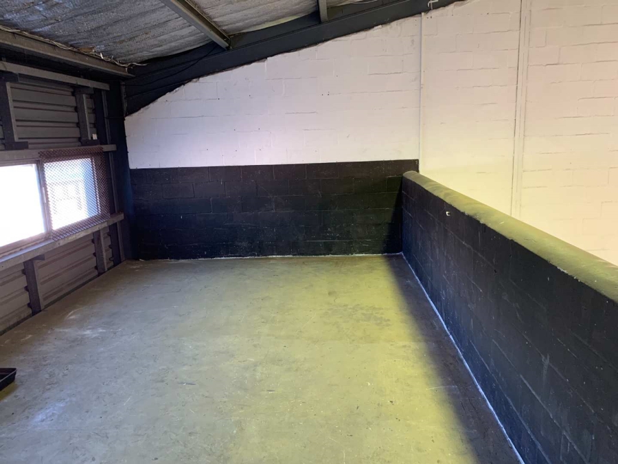 To Let commercial Property for Rent in Epping Industrial Western Cape